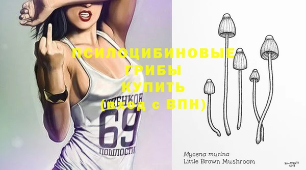 apvp Бугульма