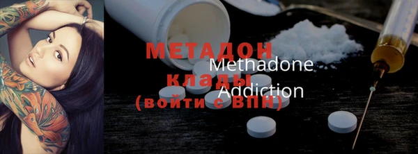 ГАЛЛЮЦИНОГЕННЫЕ ГРИБЫ Верея