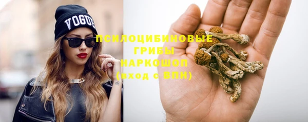 apvp Бугульма