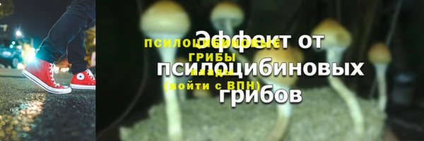 PSILOCYBIN Бронницы