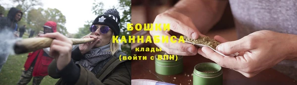PSILOCYBIN Бронницы