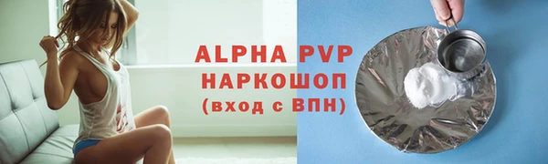 ГАЛЛЮЦИНОГЕННЫЕ ГРИБЫ Верея
