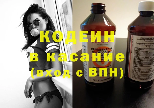 ГАЛЛЮЦИНОГЕННЫЕ ГРИБЫ Верея