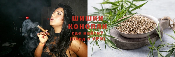 PSILOCYBIN Бронницы