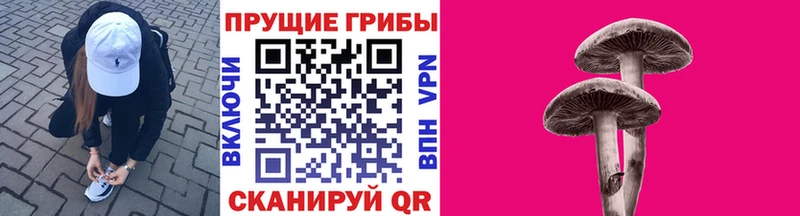Псилоцибиновые грибы ЛСД  OMG маркетплейс  Грайворон 